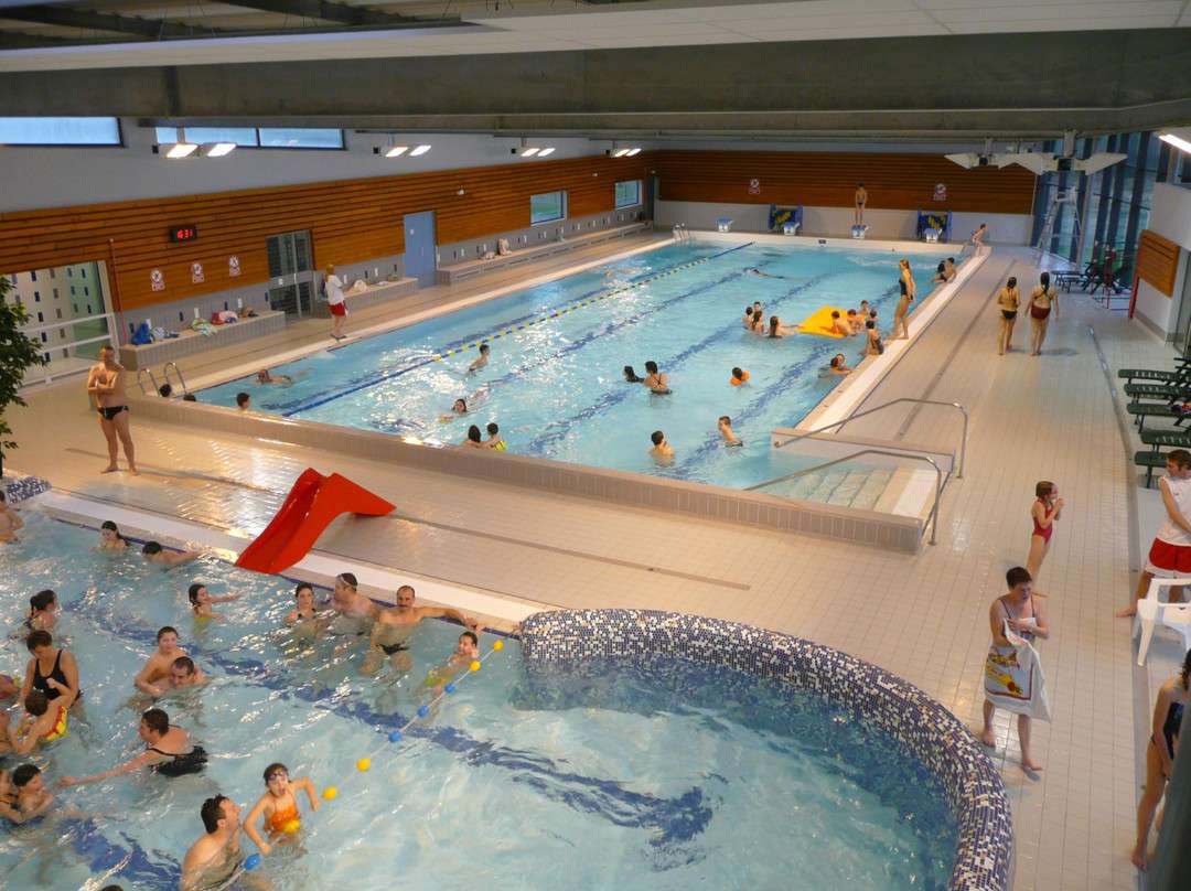 découvrez les activités passionnantes de l'espace aquatique à lande : toboggans, piscines, jeux d'eau et détente pour toute la famille.