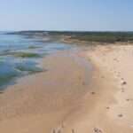 Les meilleures activités à faire à la plage du veillon en 2026