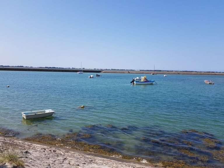 découvrez notre guide complet pour profiter au mieux de votre piscine à noirmoutier : conseils d'entretien, meilleures adresses et activités estivales.