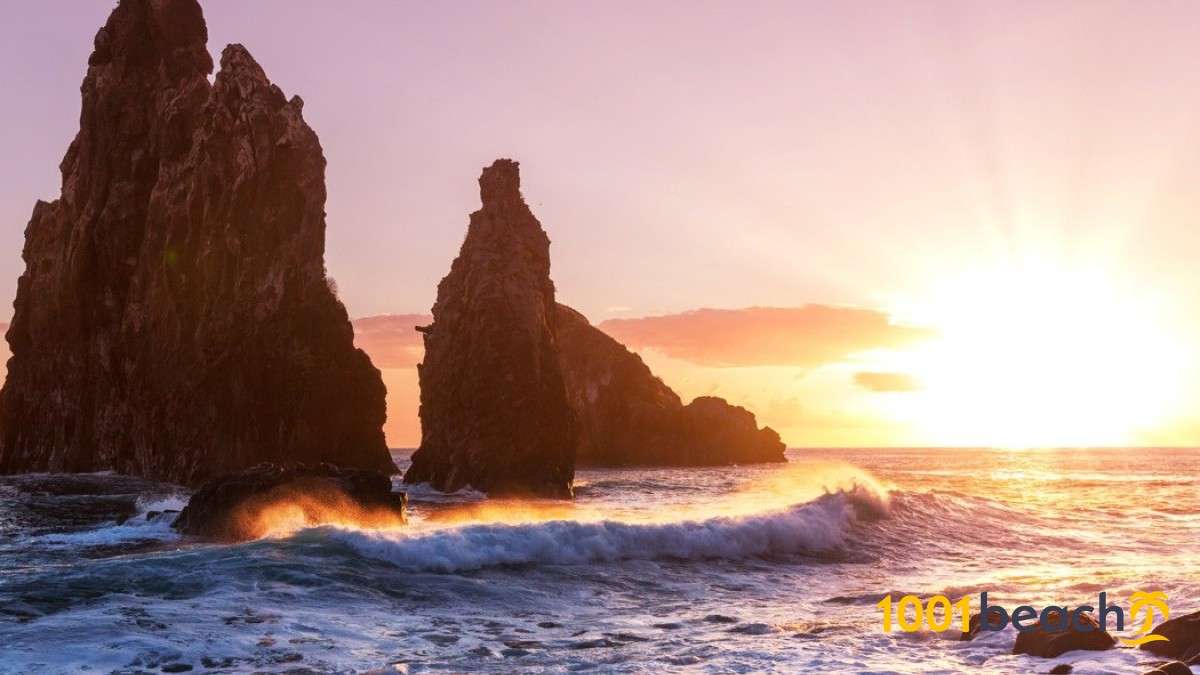 découvrez la plage de seixal, un joyau naturel au charme authentique, entourée de paysages époustouflants et de merveilles naturelles préservées pour des moments inoubliables au bord de la mer.