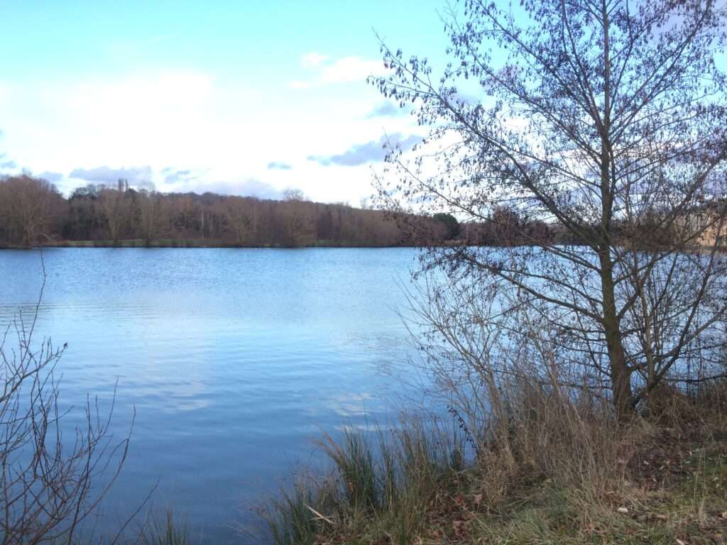 découvrez les tarifs 2026 de la base de loisirs de bois-le-roi et préparez votre visite au meilleur prix avec nos informations actualisées.