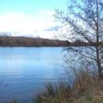 Base de loisirs bois-le-roi tarifs : que faut-il savoir en 2026 ?