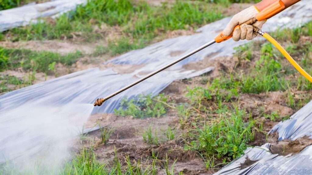 découvrez les effets et résultats de l'utilisation de l'adblue comme désherbant, ses impacts sur les cultures et l'environnement.