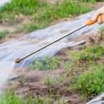 Adblue désherbant avant après : découvrez les effets et résultats