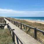 Découvrir le cap de l&rsquo;homy : un joyau naturel de la côte landaise