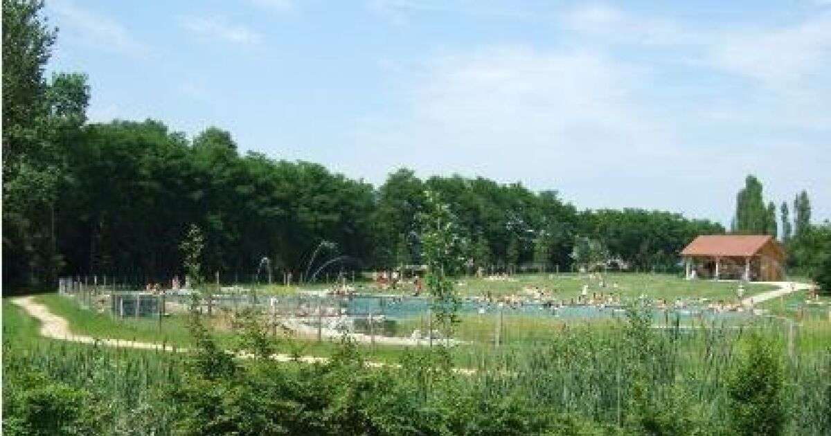 découvrez notre guide complet pour profiter pleinement de votre piscine à la chapelle-saint-luc : conseils, entretien, et meilleures adresses locales.