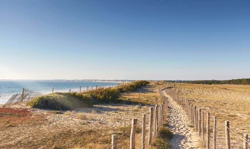 découvrez la plage de pen bron en bretagne, un lieu paisible et naturel idéal pour la détente, les activités en plein air et les promenades en bord de mer.