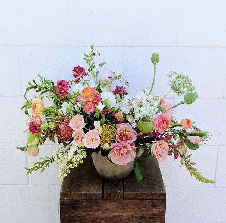 découvrez notre sélection de fleurs en e étonnantes, une collection unique qui émerveillera votre jardin et vos bouquets avec des couleurs vibrantes et des formes originales.