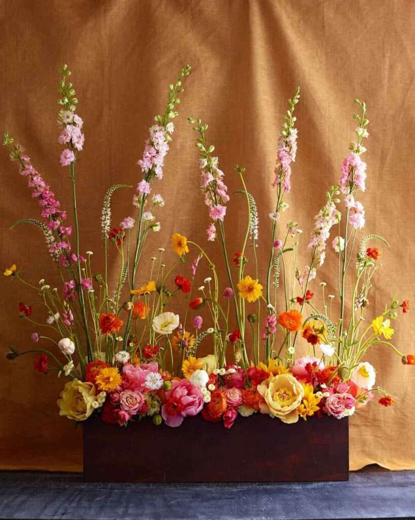 découvrez une sélection étonnante de fleurs dont le nom se termine par la lettre e, pour embellir vos jardins et bouquets avec originalité.
