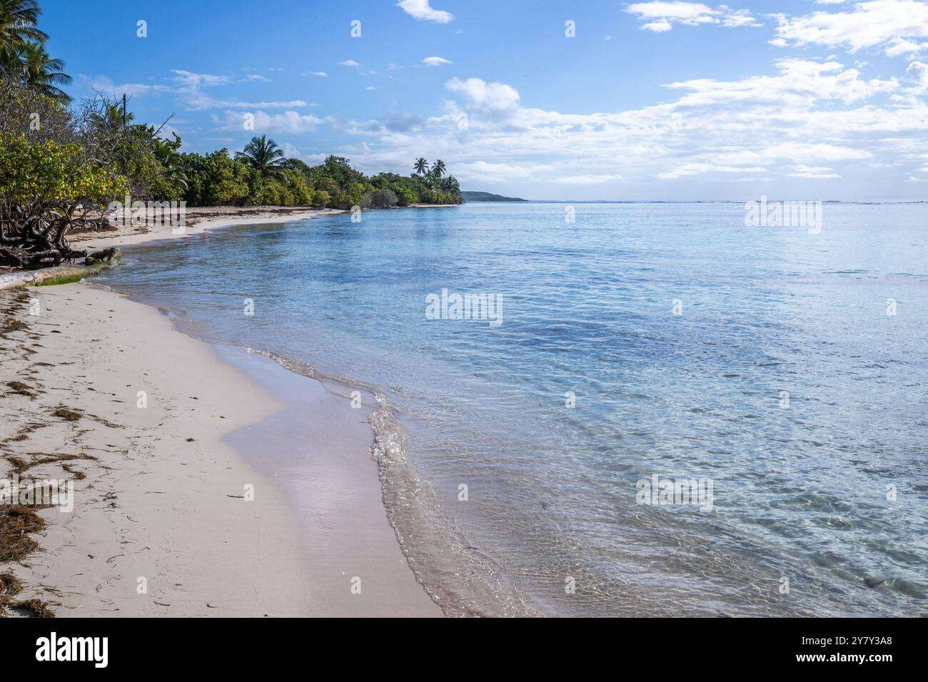 découvrez bois jolan beach, une plage paradisiaque aux eaux cristallines et sable doré, idéale pour la détente, la baignade et les activités nautiques.