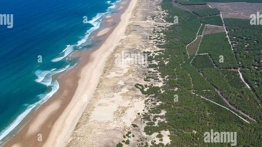 découvrez les plages de la porge, un paradis naturel niché sur la côte atlantique, parfait pour la détente, les sports nautiques et des paysages à couper le souffle.