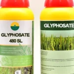 Acheter du glyphosate : guide complet pour bien choisir et utiliser ce produit