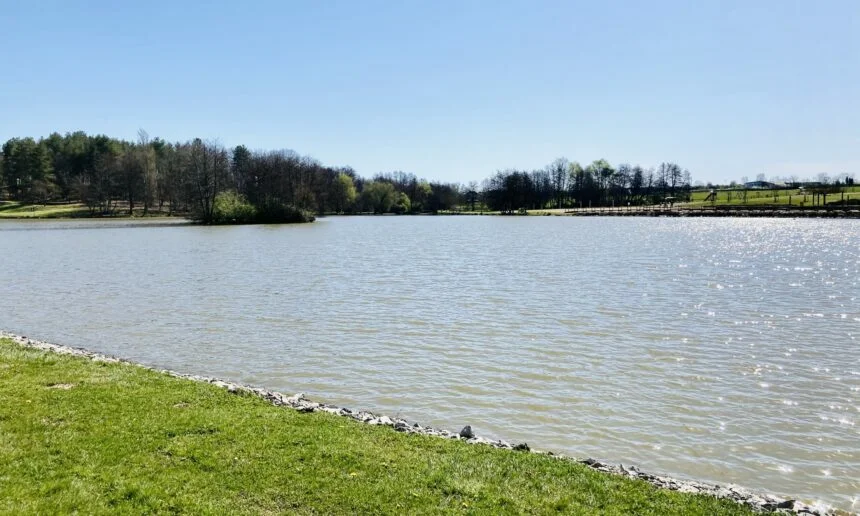 découvrez le plan d'eau d'ozières, un lieu paisible idéal pour la pêche, la promenade et les activités nautiques en pleine nature.