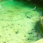 Comment résoudre le problème de l&rsquo;eau de la piscine verte rapidement